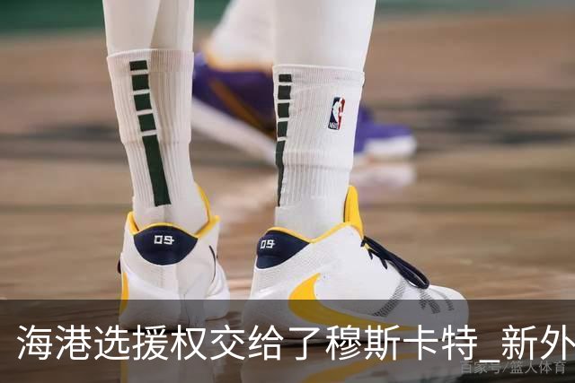 海港选援权交给了穆斯卡特 新外援偏向巴西帮