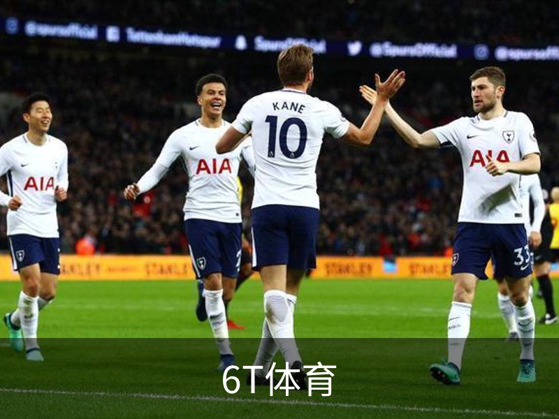6T体育介绍