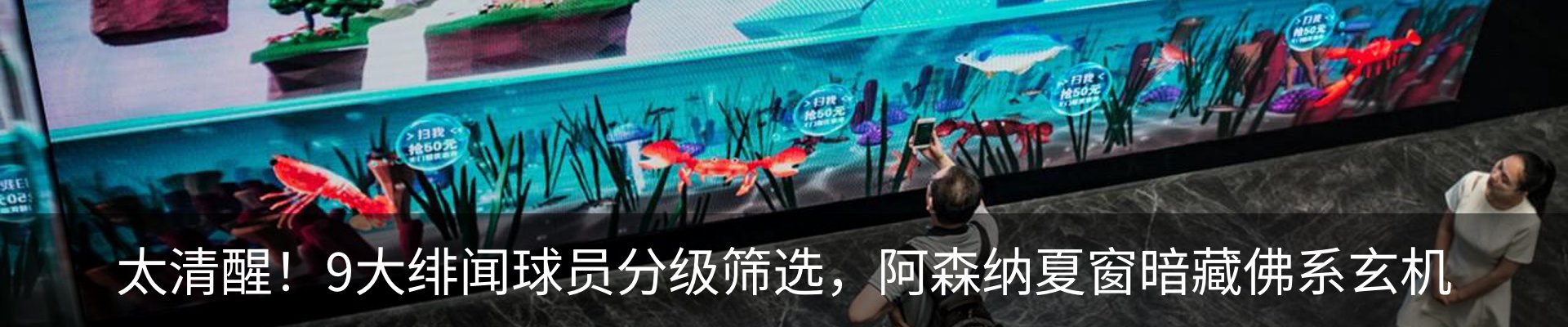 新闻动态