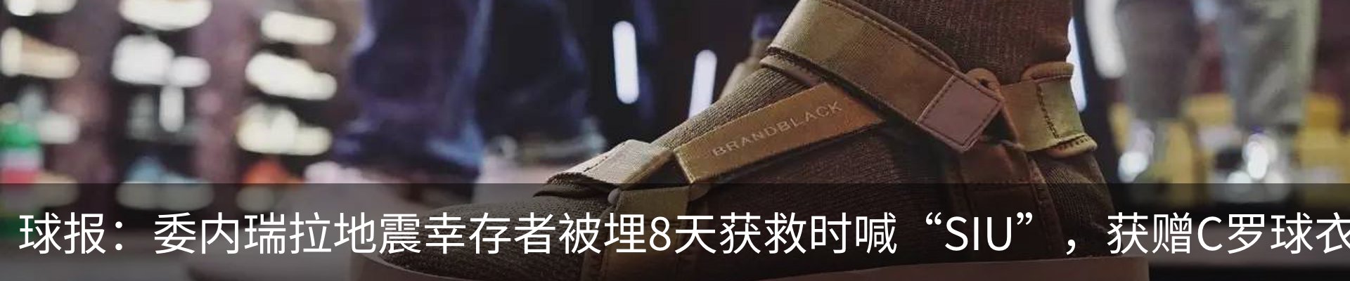 新闻动态