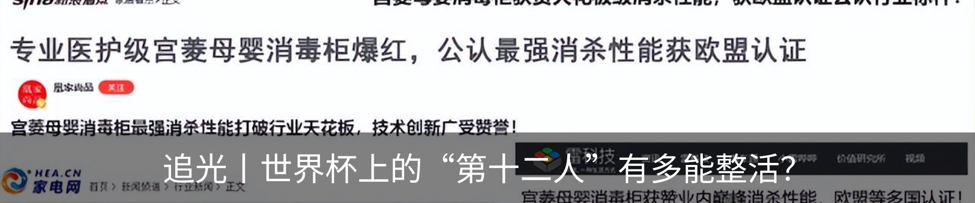 新闻动态